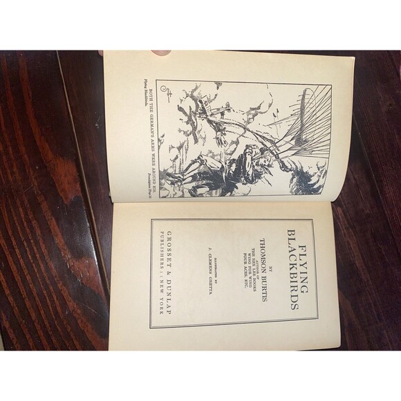 FLYING BLACK BIRDS THOMSON BURTIS AIR COMBAT PLANES 1932 HARDCOVER BOOK Vintage - Picture 7 of 9